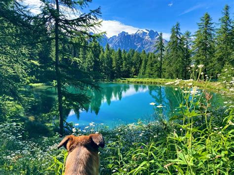 lac hermes|Itinéraire n°8 : Boucle du Lac des Hermes.